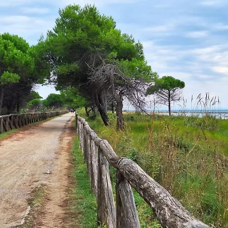 Functional With Balcony Daire *